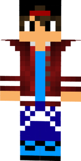Skin pro minihry