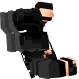 Swat