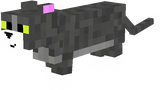 tom from tom and jerry  (british shorthair texture)