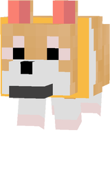 dog skin