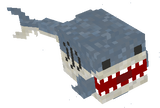 Shark Guardian