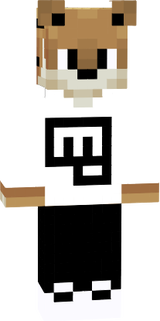 cachorro