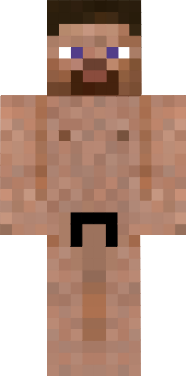 Preview of texture:  Steve 5