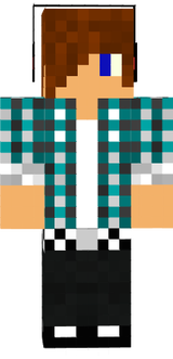 skin
