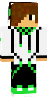 shins raph