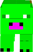 pig
