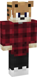 NopGaMEr