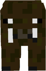 willd pig