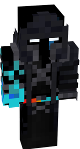 WH0 SKIN