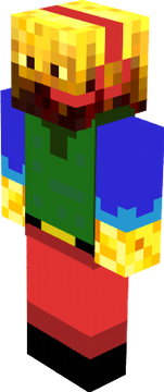 facecam