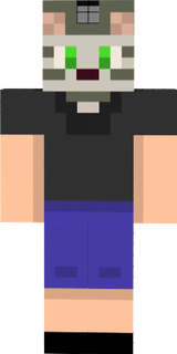 gato 1