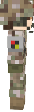 hellsing medic
