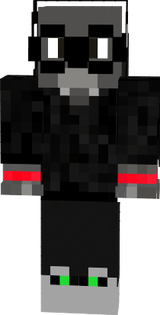 senseikoala