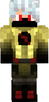 reverseryanflashreverse