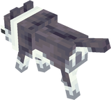 jet