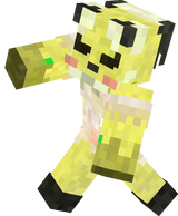 pupe