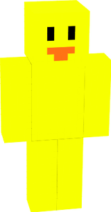 Duck Skin
