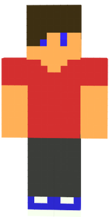MCHailoriser