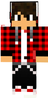 Domesmc12