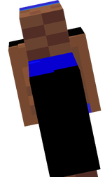 bajs