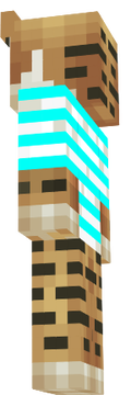 HexoSkin1