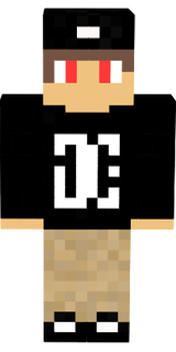 skin minecraft