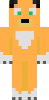 kittycraft cat