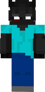 notasss steve