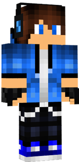 DSIexzh