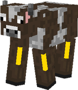 vaca queijo