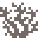 dead_brain_coral