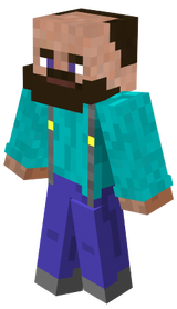 steve velho