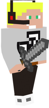 fsfs