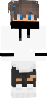 white and blue and black NINJA