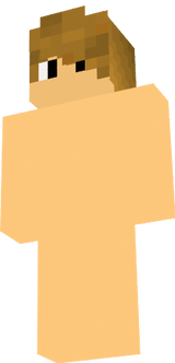 player_host