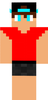 nanzimm_