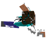NO VISOR .EXE