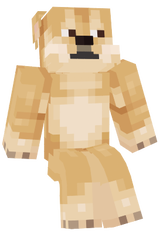 Doge :3