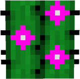 cactus.with.flowers