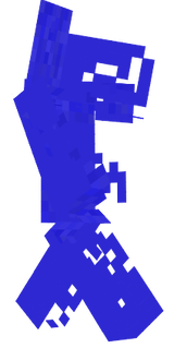 zxcasd