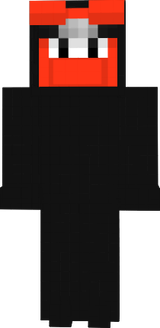 zubztor