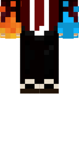 BAUSHAUSHA