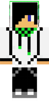 skin