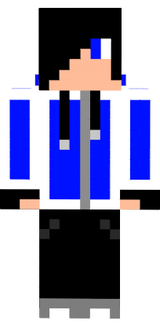 sas