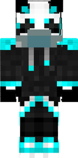 HASVIK SKIN
