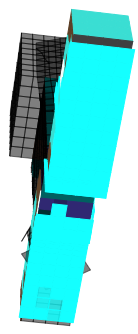 skin