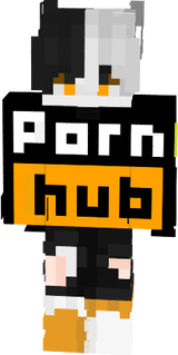 Minecraft Skin hub