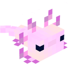Axolotl