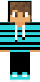 skin