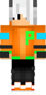 ThePARTICLE
